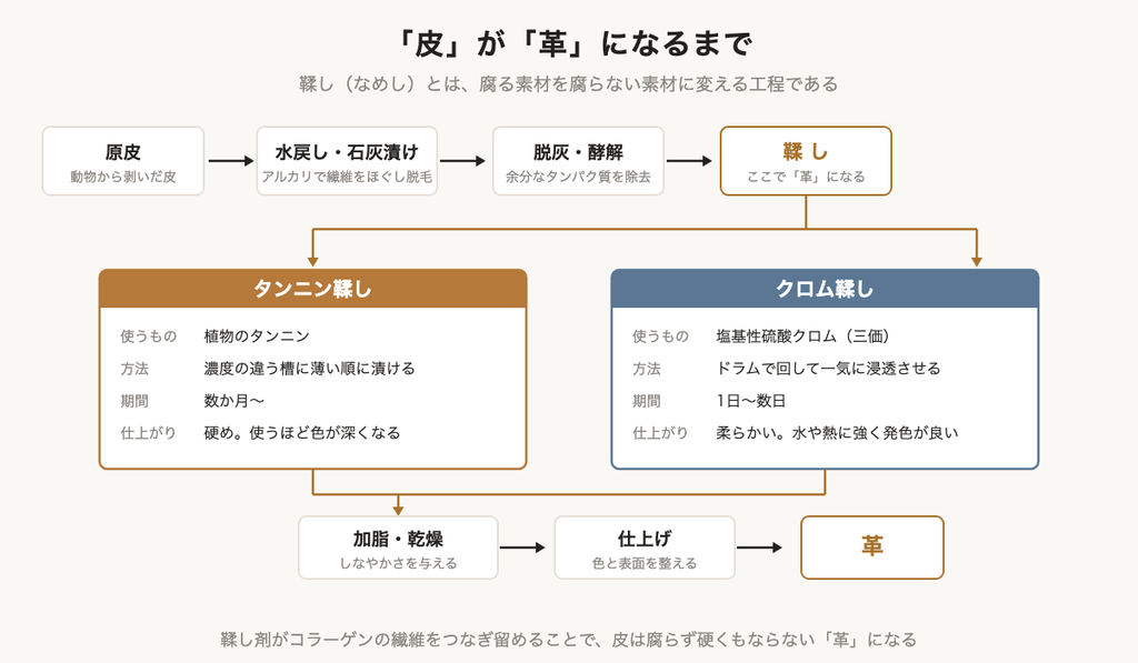 「原皮から革になるまでの工程と、タンニン鞣しとクロム鞣しの違いを示したフロー図」